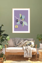 Load image into Gallery viewer, Plum
