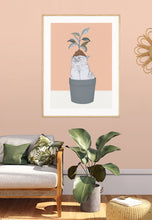 Load image into Gallery viewer, Cat Plant