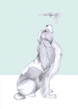 Load image into Gallery viewer, Chavelier King Charles spaniel
