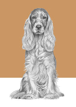 Load image into Gallery viewer, Cocker Spaniel