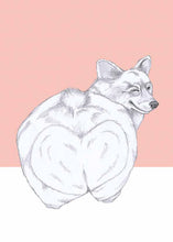 Load image into Gallery viewer, corgi
