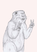 Load image into Gallery viewer, peace marmot