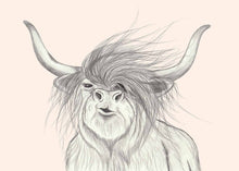 Load image into Gallery viewer, Scottish highlander