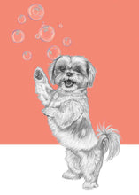 Load image into Gallery viewer, Shih Tzu