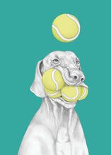 Load image into Gallery viewer, vizsla