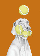 Load image into Gallery viewer, vizsla