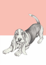 Load image into Gallery viewer, Basset Hound