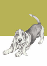 Load image into Gallery viewer, Basset Hound