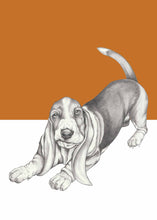 Load image into Gallery viewer, Basset Hound