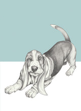 Load image into Gallery viewer, Basset Hound