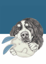 Load image into Gallery viewer, Berner Sennen