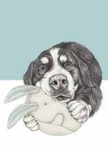 Load image into Gallery viewer, Berner Sennen