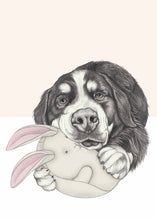 Load image into Gallery viewer, Berner Sennen