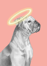 Load image into Gallery viewer, Boxer