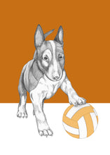 Load image into Gallery viewer, bull terrier