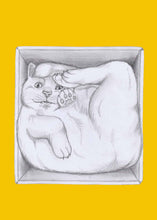 Load image into Gallery viewer, cat in a box