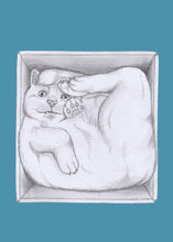 Load image into Gallery viewer, cat in a box
