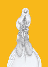 Load image into Gallery viewer, Chick