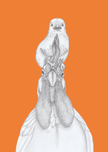 Load image into Gallery viewer, Chick