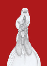 Load image into Gallery viewer, Chick