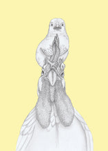 Load image into Gallery viewer, Chick