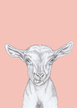 Load image into Gallery viewer, kid goat