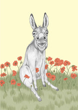 Load image into Gallery viewer, Happy Donkey