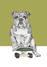 Load image into Gallery viewer, English Bulldog