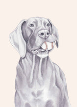 Load image into Gallery viewer, great dane