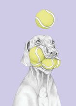 Load image into Gallery viewer, vizsla