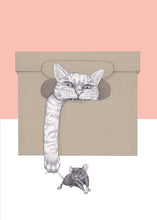 Load image into Gallery viewer, Cat and Mouse
