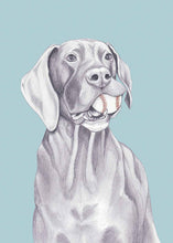 Load image into Gallery viewer, great dane
