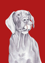 Load image into Gallery viewer, great dane