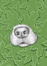 Load image into Gallery viewer, Nosy Dog