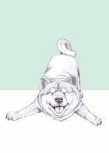 Load image into Gallery viewer, akira