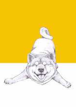 Load image into Gallery viewer, akira