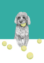Load image into Gallery viewer, Labradoodle
