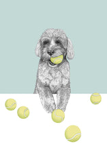 Load image into Gallery viewer, Labradoodle