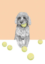 Load image into Gallery viewer, Labradoodle