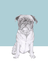 Load image into Gallery viewer, pug