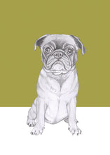 Load image into Gallery viewer, pug