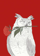Load image into Gallery viewer, romantic owl