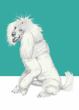 Load image into Gallery viewer, Poodle