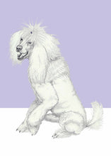 Load image into Gallery viewer, Poodle