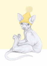 Load image into Gallery viewer, sfinx cat