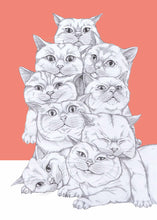 Load image into Gallery viewer, cat pile