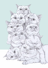 Load image into Gallery viewer, cat pile