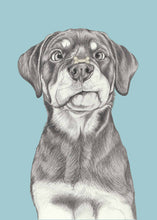 Load image into Gallery viewer, Rottweiler