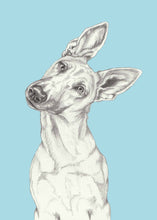 Load image into Gallery viewer, Shepherd