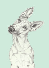 Load image into Gallery viewer, Shepherd